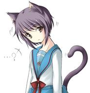 cat nagato_yuki safe school_uniform // 582x604 // 50.1KB